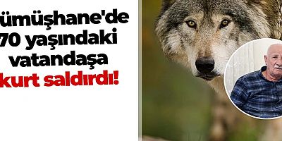 Gümüşhane'de 70 yaşındaki vatandaşa kurt saldırdı!
