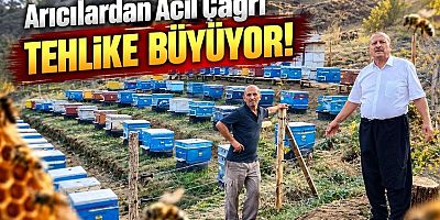 Gümüşhane’de Ayı Korkusu: Arıcılar Kovanların Başında Gece Nöbetinde