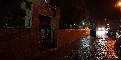 Gümüşhane’de ayılar bu kez mezarlığa dadandı