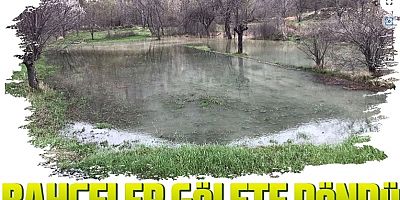 Gümüşhane’de bahçeler gölete döndü