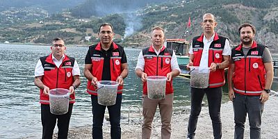 Gümüşhane’de Baraj ve Göletlere 246 Bin Sazan Yavrusu Bırakıldı