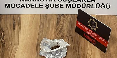 Gümüşhane’de bonzai ele geçirildi