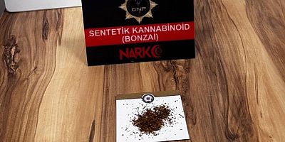 Gümüşhane’de bonzai ele geçirildi