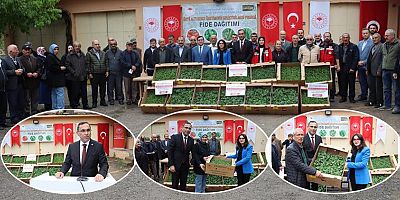 Gümüşhane’de Çiftçilere 226 Bin 208 Adet Sebze Fidesi Dağıtıldı