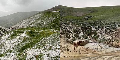 Gümüşhane’de dolu yağışı yüksekleri beyaza bürüdü