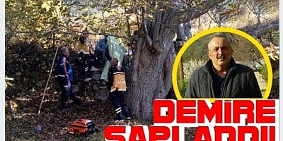Gümüşhane'de Feci Ölüm! Ceviz Ağacından Düştü Yerdeki Demire Saplandı