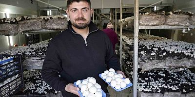 Gümüşhane’de genç girişimci mantar üretim tesisiyle kentin mantar ihtiyacını karşılıyor