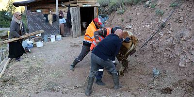 Gümüşhane’de hayvancıların yaz mesaisi başladı