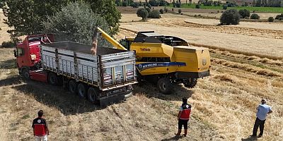 Gümüşhane’de Hububat Hasadı Başladı: Ekipler Denetimde