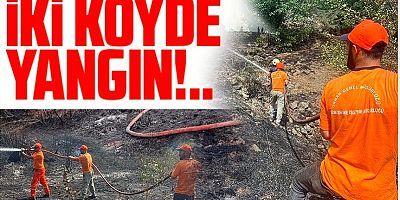 Gümüşhane'de iki köyde yangın paniği