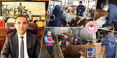 Gümüşhane’de İlkbahar Dönemi Şap Aşılama Kampanyası Başladı