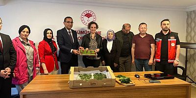 Gümüşhane’de ipek böceği larvaları üreticilere teslim edildi