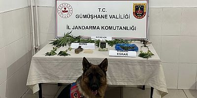 Gümüşhane’de Jandarma ekipleri aranan şahsı çatıda yakaladı