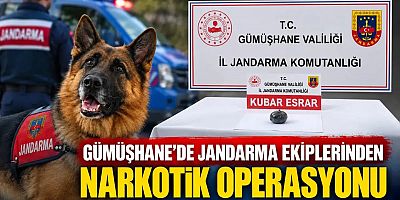 Gümüşhane’de Jandarma Ekiplerinden Narkotik Operasyonu