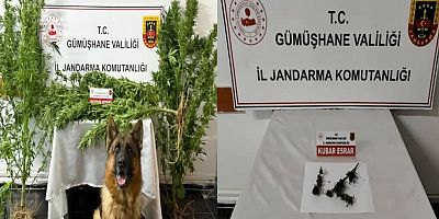Gümüşhane’de Jandarmadan uyuşturucu operasyonu: 2 gözaltı