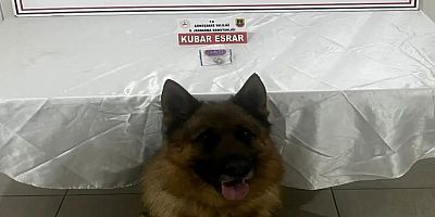 Gümüşhane’de Jandarmadan Uyuşturucu Operasyonu: Torul’da Bir Şüpheli Yakalandı