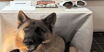 Gümüşhane’de Jandarmadan Uyuşturucu Operasyonu