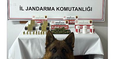 Gümüşhane’de Jandarmadan Uyuşturucu ve Mühimmat Operasyonu