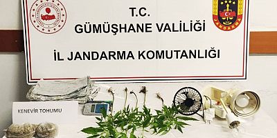 Gümüşhane'de Kaçak Kenevir Operasyonu!