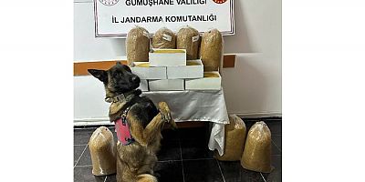 Gümüşhane’de Kaçak Tütün Operasyonu