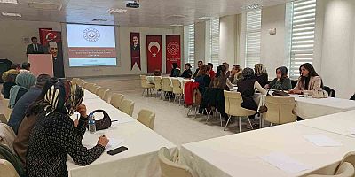 Gümüşhane’de kadına yönelik şiddetle mücadele çalıştayı düzenlendi