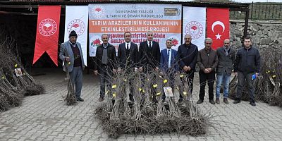 Gümüşhane’de Kapama Kuşburnu Bahçeleri Kuruluyor