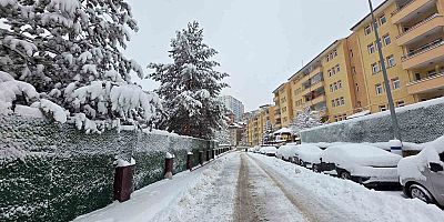 Gümüşhane’de kar 247 köy yolunu ulaşıma kapattı