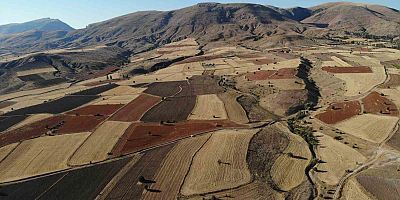 Gümüşhane’de karabuğday hasadı başladı