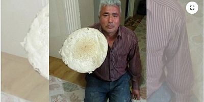 Gümüşhane’de Kızıl mantar şaşırttı