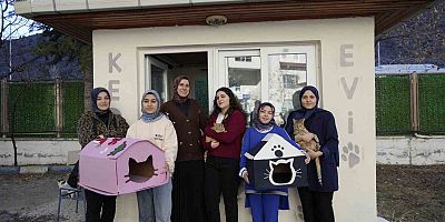 Gümüşhane’de öğrenci yurdunun güvenlik kulübesi kedilere yurt oldu