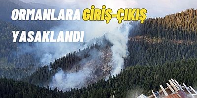Gümüşhane’de ormanlık alanlara giriş çıkışlar yasaklandı