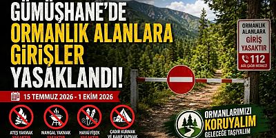 Gümüşhane’de Ormanlık Alanlara Girişler Yasaklandı: İşte Yasak Kapsamındaki Yerler ve Kurallar