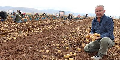 Gümüşhane’de patates hasadı bitmek üzere