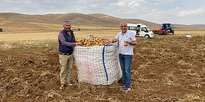 Gümüşhane’de patates hasadı devam ediyor