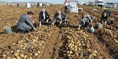 Gümüşhane’de Patates Hasadı Tarla Günü Düzenlendi