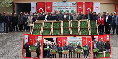 Gümüşhane’de Sebzeciliğe Fide Desteği