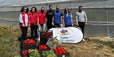 Gümüşhane’de seralarda Gönüllü Hasat yapıldı