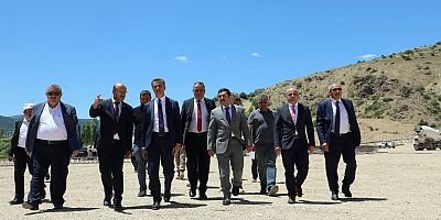 Gümüşhane'de Sokak Hayvanları İçin Hazırlanan Projeler Devam Ediyor