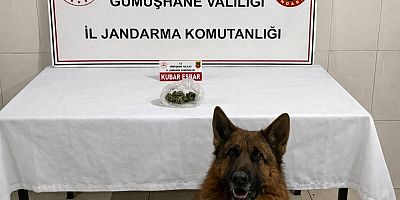 Gümüşhane’de Uyuşturucu Operasyonu: Araçta Esrar Bulundu