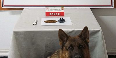 Gümüşhane’de uyuşturucu operasyonu