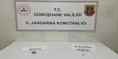 Gümüşhane’de uyuşturucu operasyonunda 1 şüpheli yakalandı
