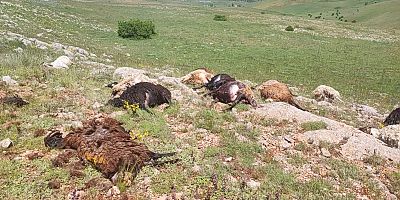 Gümüşhane’de yaylaya düşen yıldırım 18 koyunu telef etti