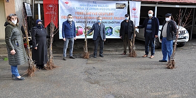 Gümüşhane’de yerel Meyve Çeşitleri Korunuyor