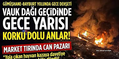 Gümüşhane’de yola çıkan yabani hayvan kazaya yol açtı: Kamyon küle döndü