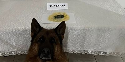 Gümüşhane’de zehir tacirlerine geçit yok