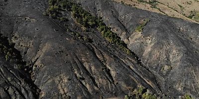 Gümüşhane'deki orman yangınında 30 hektar alan küle döndü