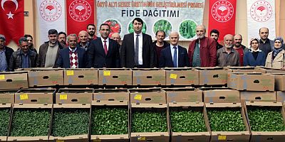 Gümüşhane’den 195 bin sebze fidesi toprakla buluşacak