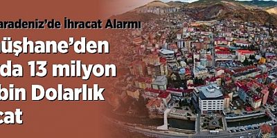 Gümüşhane’den 4 Ayda 13 milyon 576 bin Dolarlık İhracat