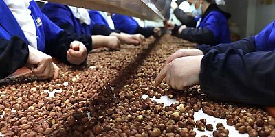 Gümüşhane İhracat Rakamları Açıklandı 