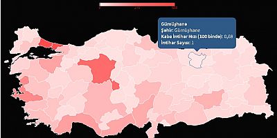 Gümüşhane intihar hızında en düşük il